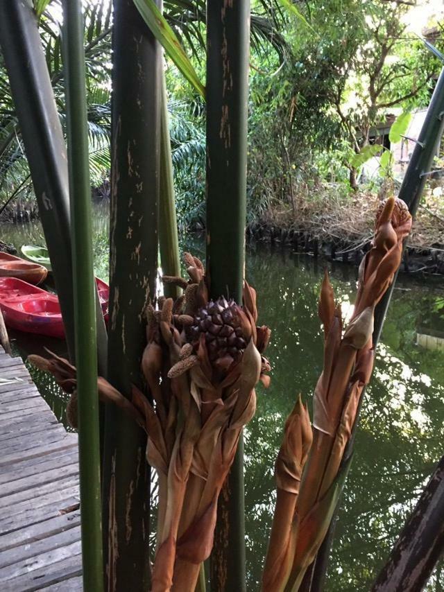 Hotel Baan Glangsuan Bang Kobua Bang Chak Zewnętrze zdjęcie